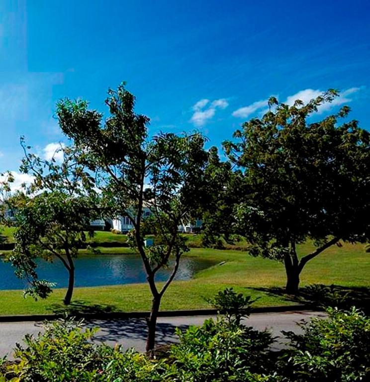 Coconut Grove 1, Luxury Villa By Island Villas เซนต์เจมส์ ภายนอก รูปภาพ
